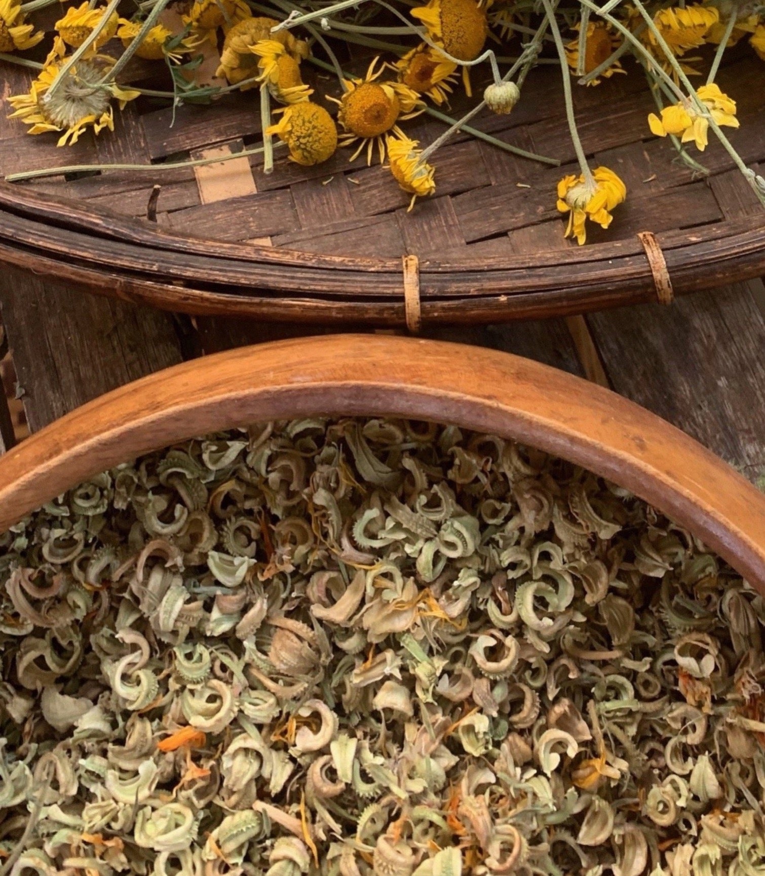 organic calendula flowers seeds – the rainbow elements